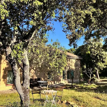 别墅 Maison De Charme Uzes Piscine 6 A 7 Personnes En Pleine Nature