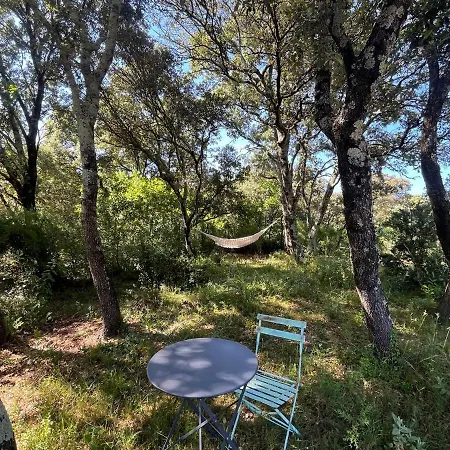 Maison De Charme Uzes Piscine 6 A 7 Personnes En Pleine Nature *