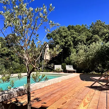 Maison De Charme Uzes Piscine 6 A 7 Personnes En Pleine Nature